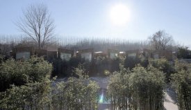 竹主題溫泉酒店：北京WHY溫泉酒店規(guī)劃設(shè)計——海森溫泉設(shè)計智庫