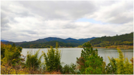 上猶潤(rùn)達(dá)南湖國(guó)際旅游度假區(qū)項(xiàng)目正式啟動(dòng)