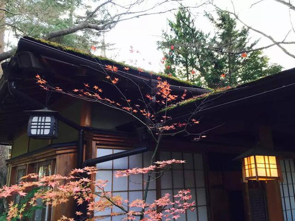 鐘山苑溫泉策劃